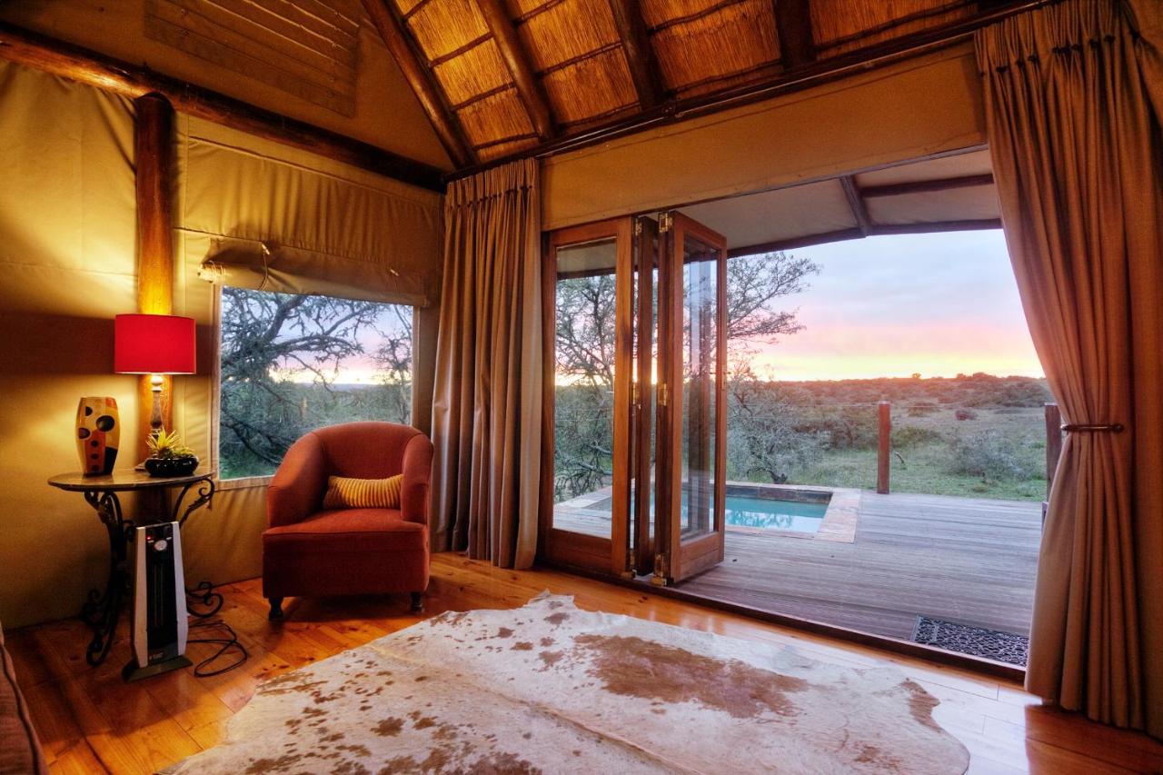 Bush Lodge - Riserva Faunistica di Amakhala Esterno foto