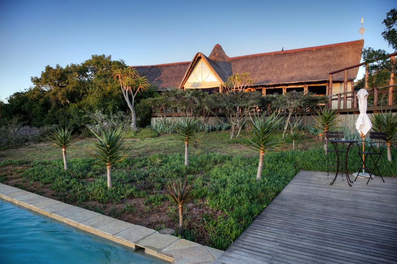 Bush Lodge - Riserva Faunistica di Amakhala Esterno foto