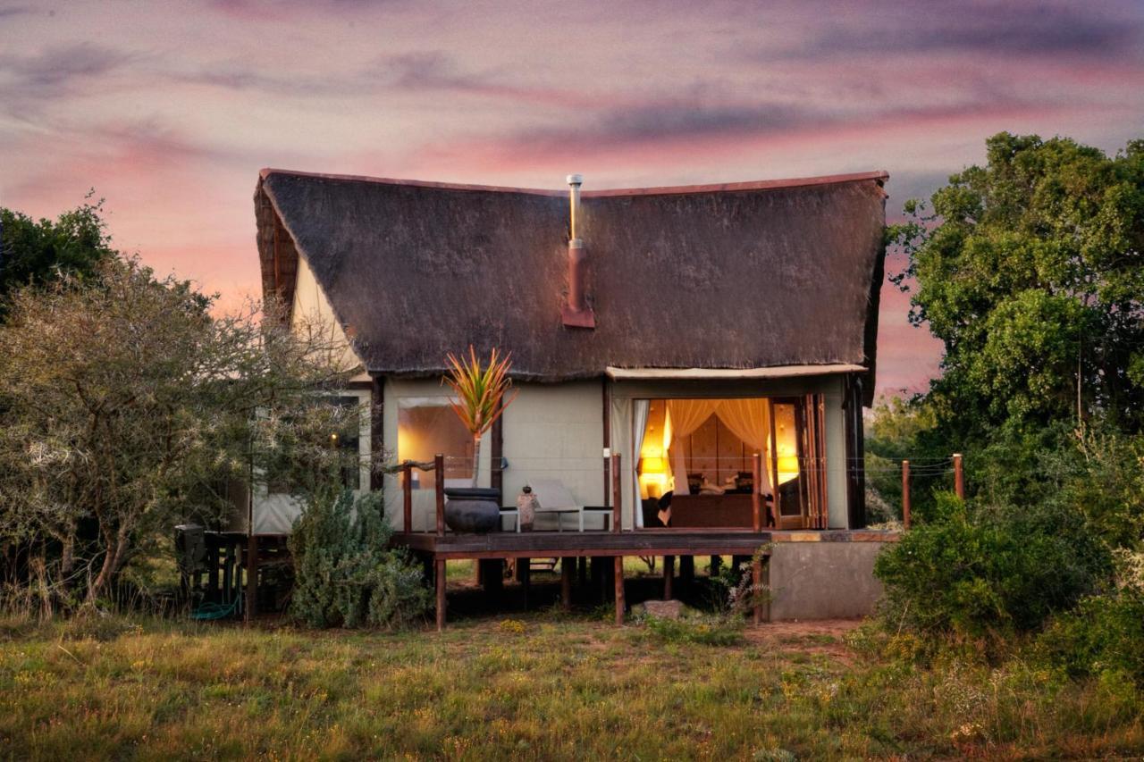 Bush Lodge - Riserva Faunistica di Amakhala Esterno foto