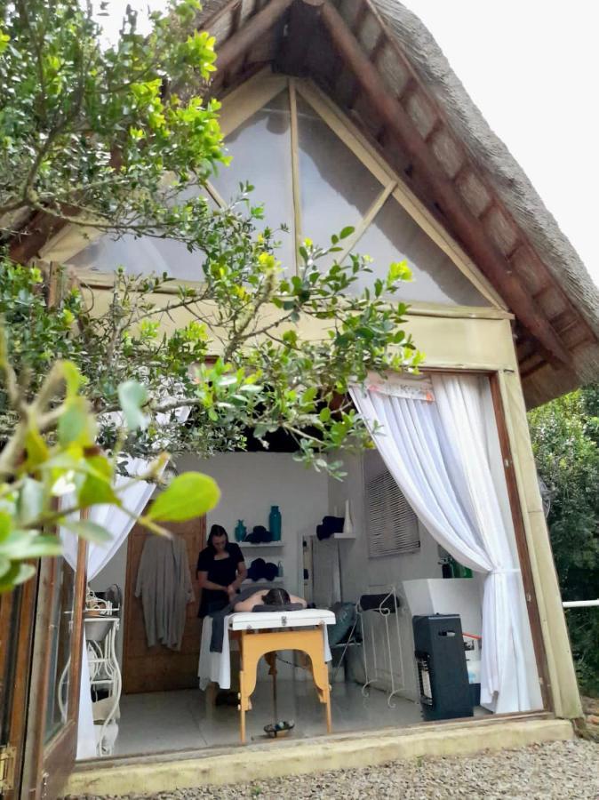 Bush Lodge - Riserva Faunistica di Amakhala Esterno foto