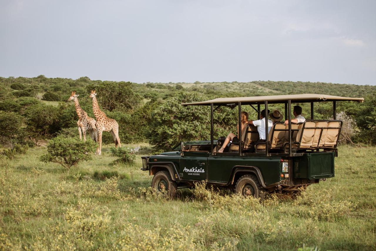 Bush Lodge - Riserva Faunistica di Amakhala Esterno foto