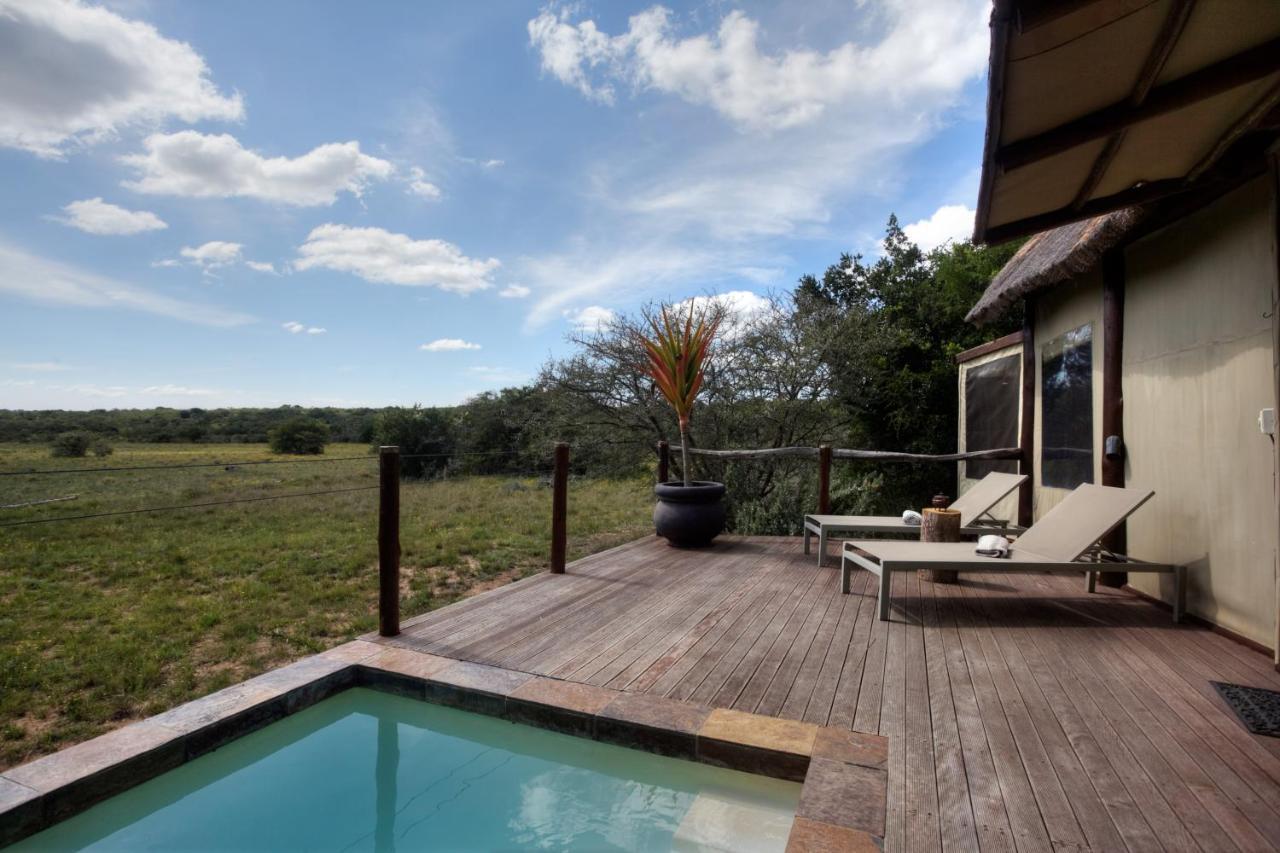 Bush Lodge - Riserva Faunistica di Amakhala Esterno foto