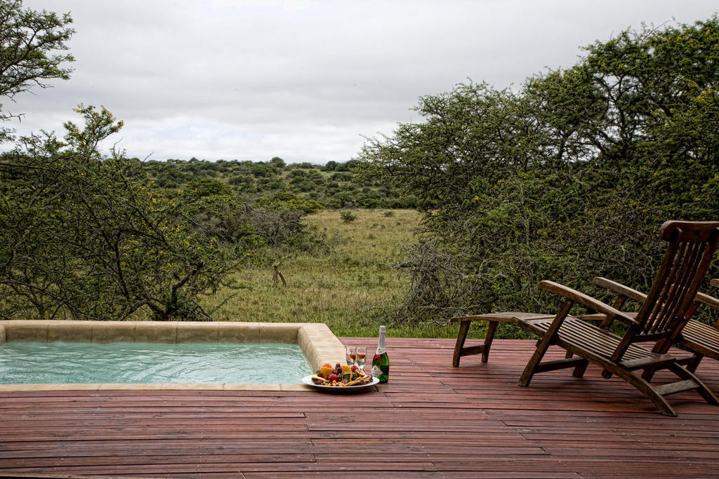 Bush Lodge - Riserva Faunistica di Amakhala Camera foto