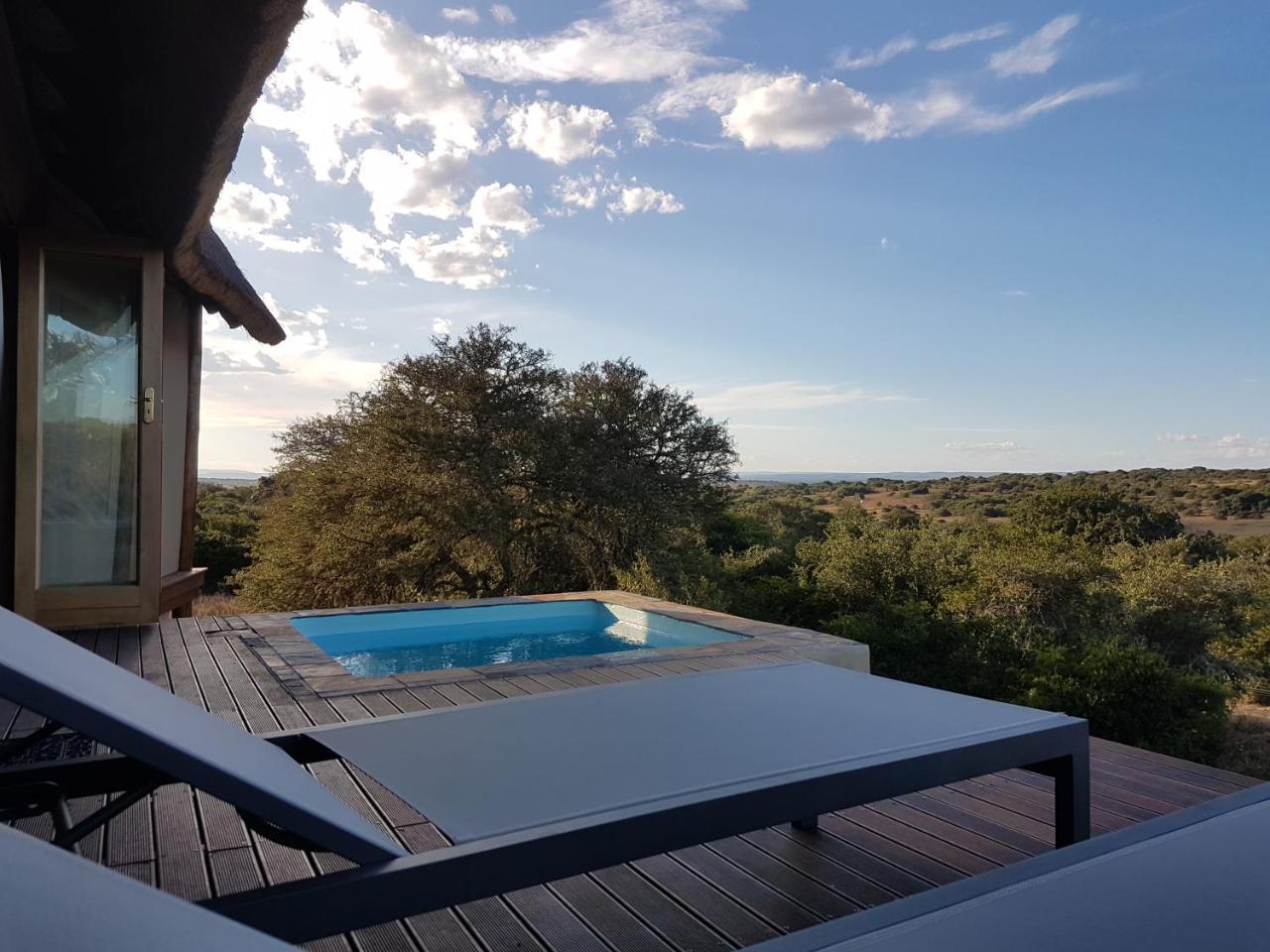 Bush Lodge - Riserva Faunistica di Amakhala Esterno foto